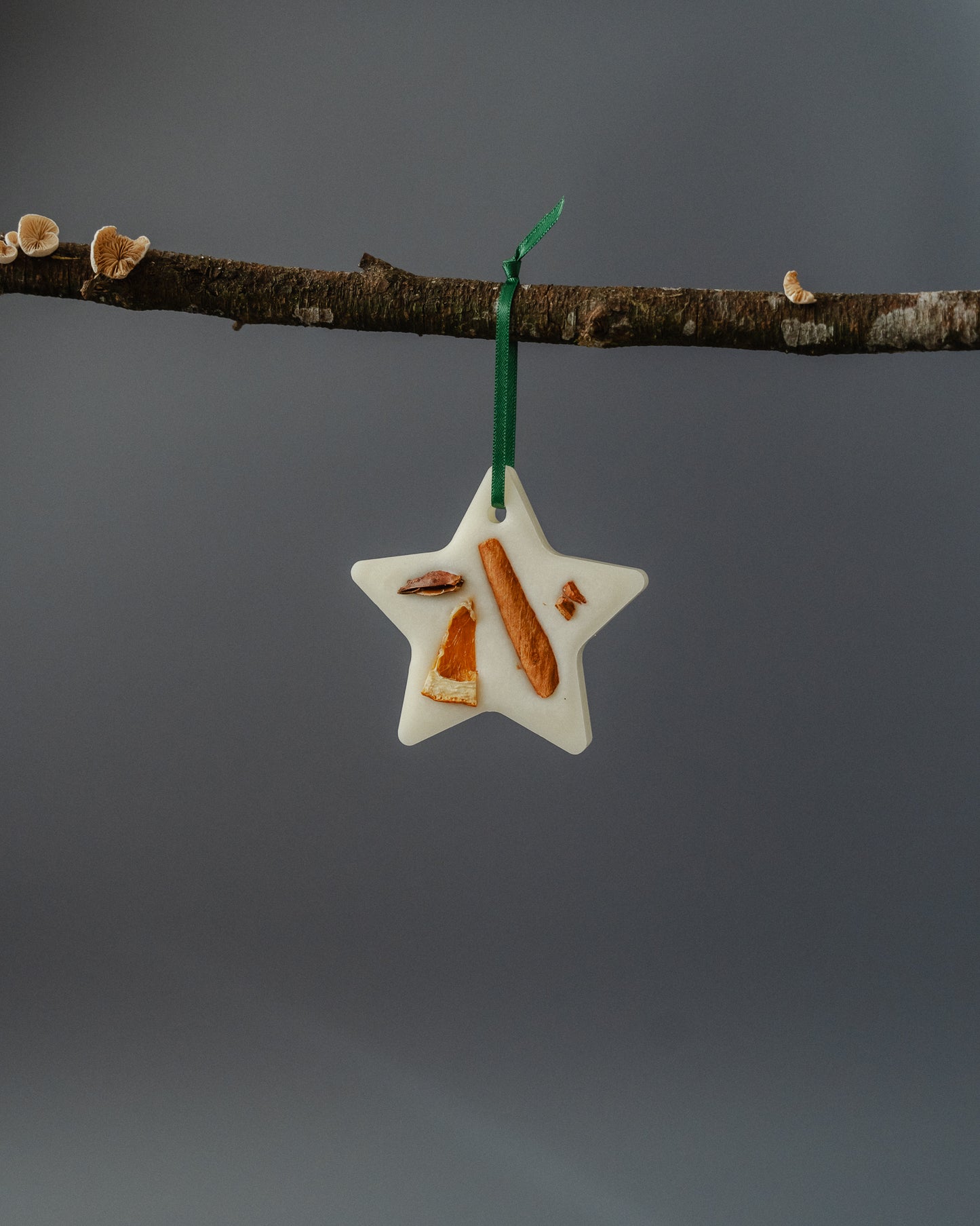 Scented Christmas Tree Decoration - Star