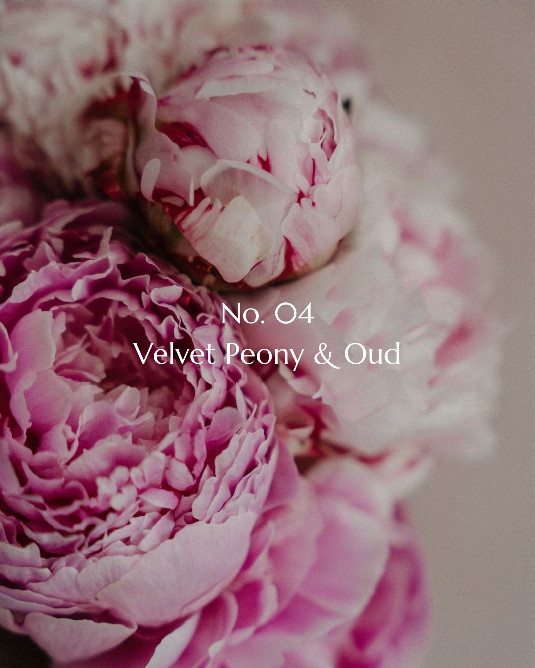 No. 04 Velvet Peony & Oud Luxury Candle - Wick & Wist