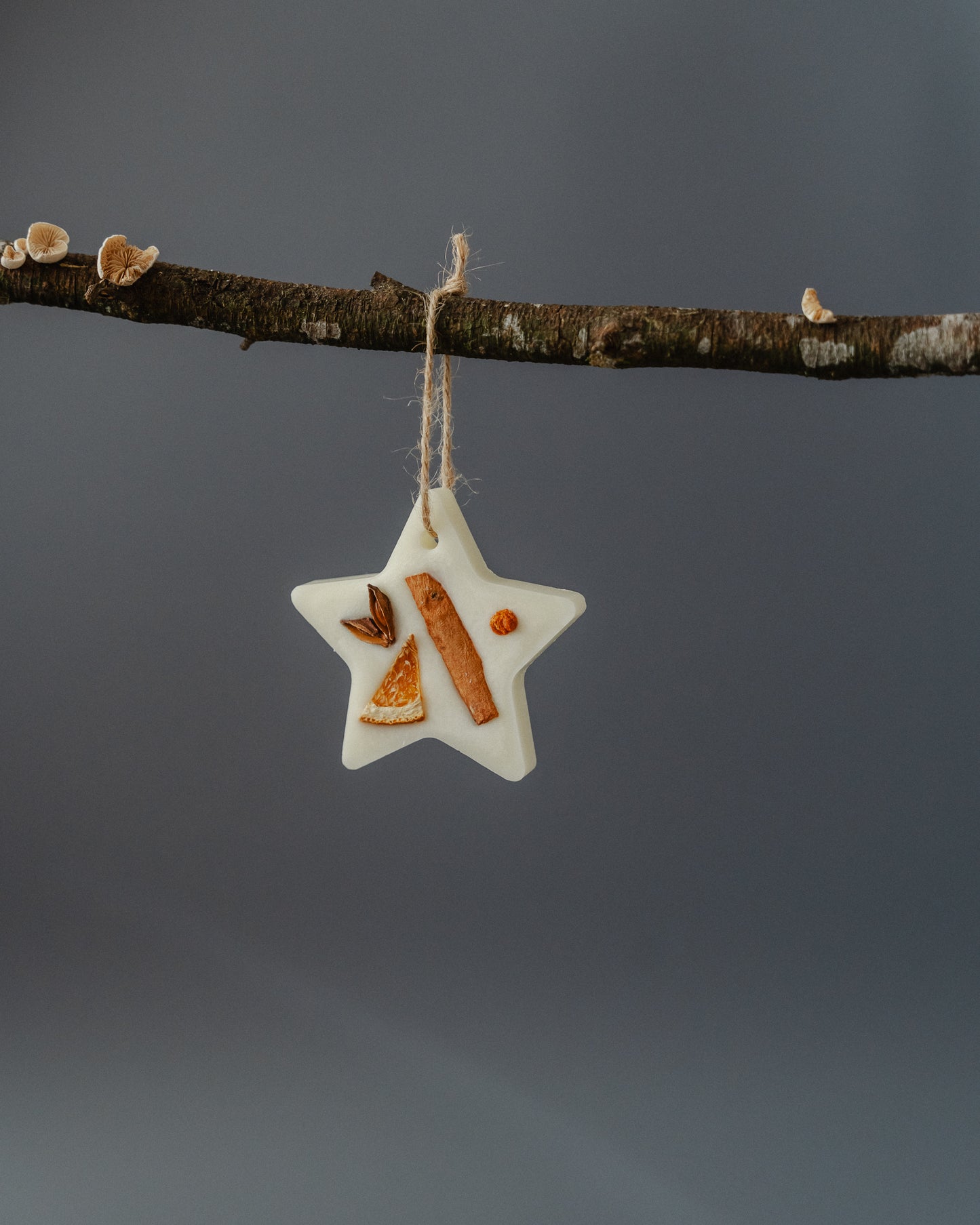 Scented Christmas Tree Decoration - Star