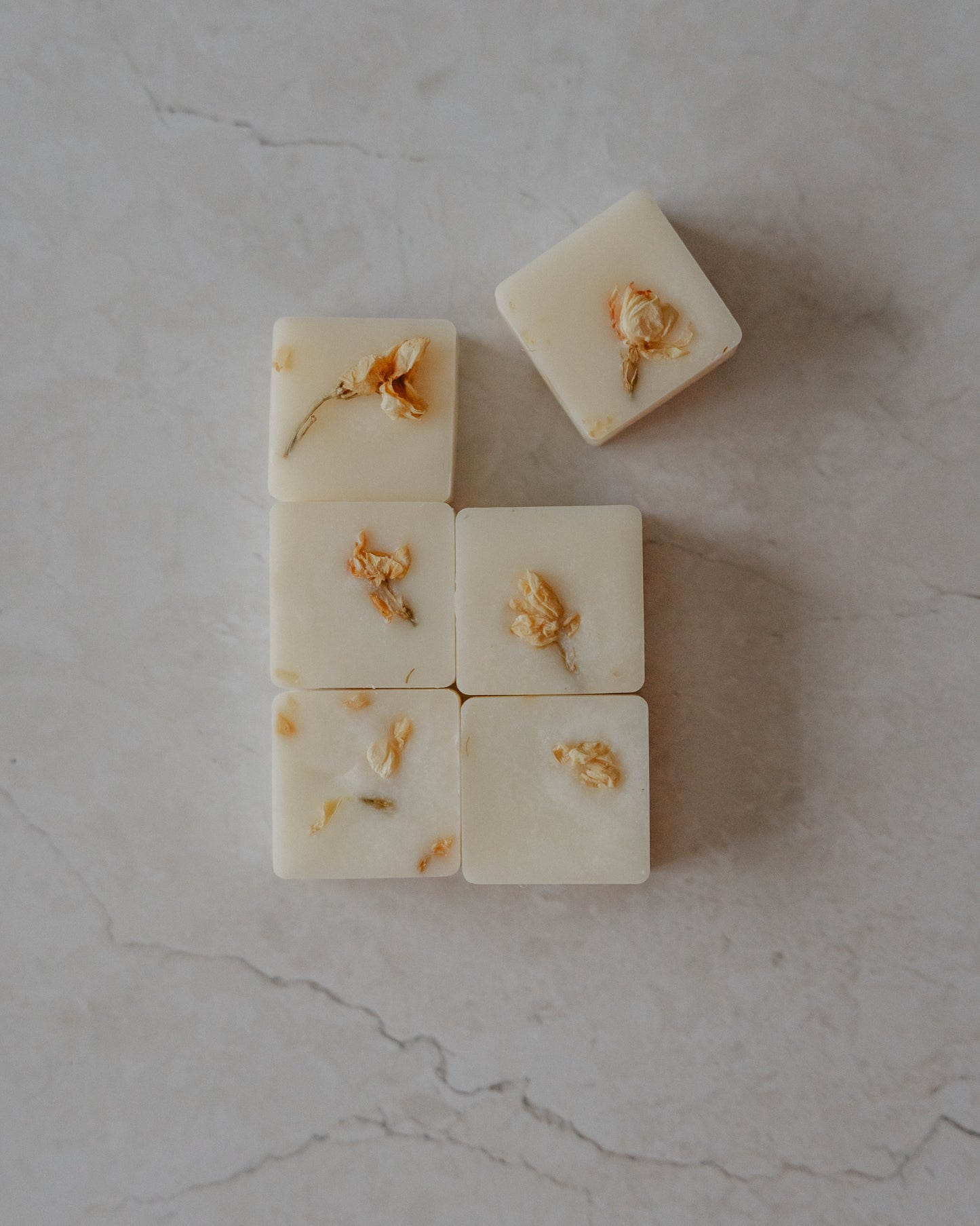 Signature Fragrance Botanical Wax Melts